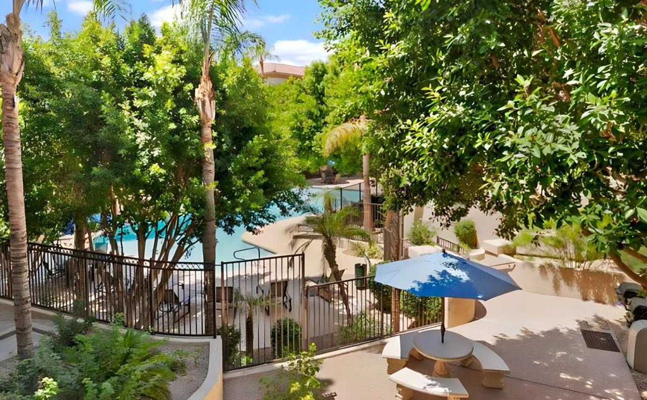 Biltmore Bliss Desert Retreat! Phoenix Exterior foto