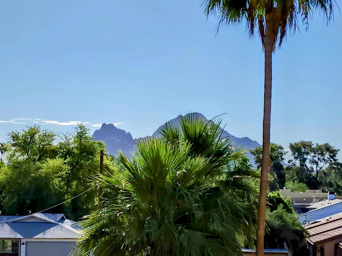 Biltmore Bliss Desert Retreat! Phoenix Exterior foto